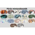 Póráz mintaválaszték